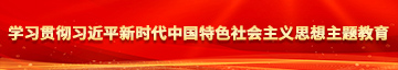 内射美女逼逼学习贯彻习近平新时代中国特色社会主义思想主题教育